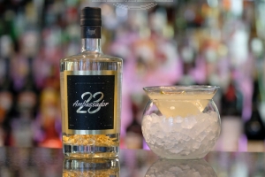 SCHNEIDERWIND "Ambassador23 - Gin"