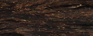 GAWITH HOGGARTH "Bob´s CH Flake"